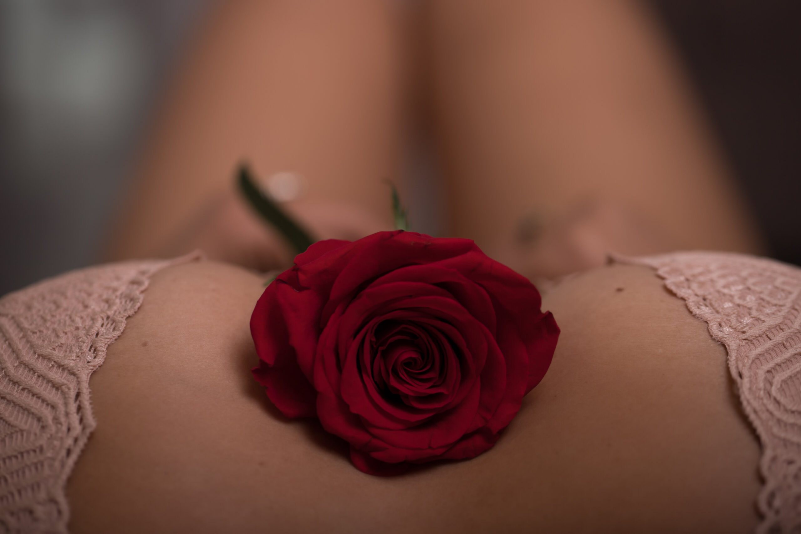 rose boudoir Sonoma county