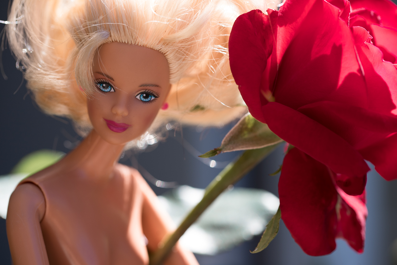 rose, barbie