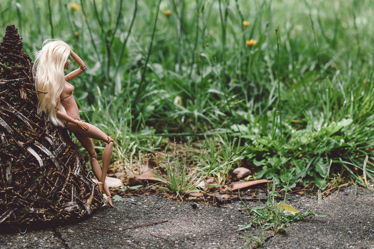 barbie, grass, boudoir