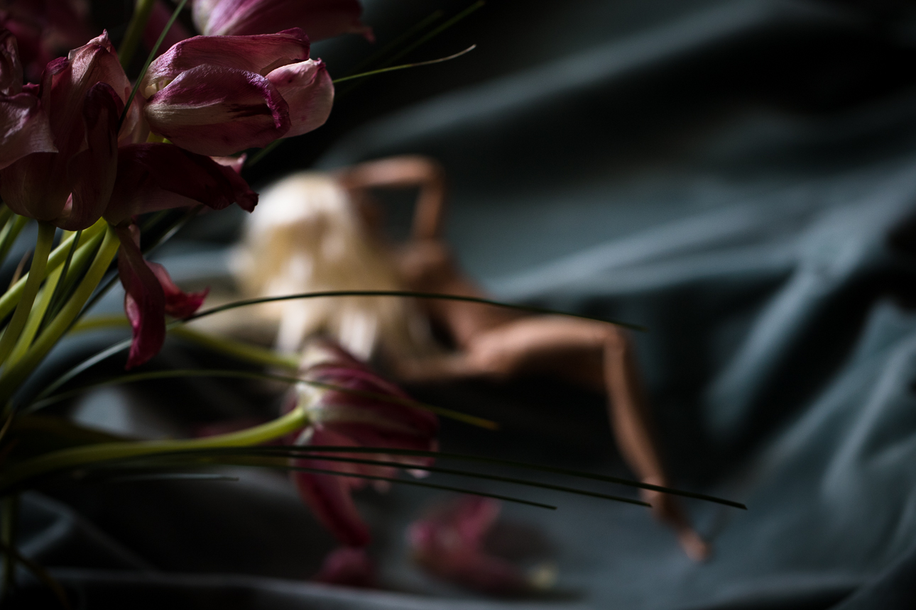 tulips, barbie, boudoir