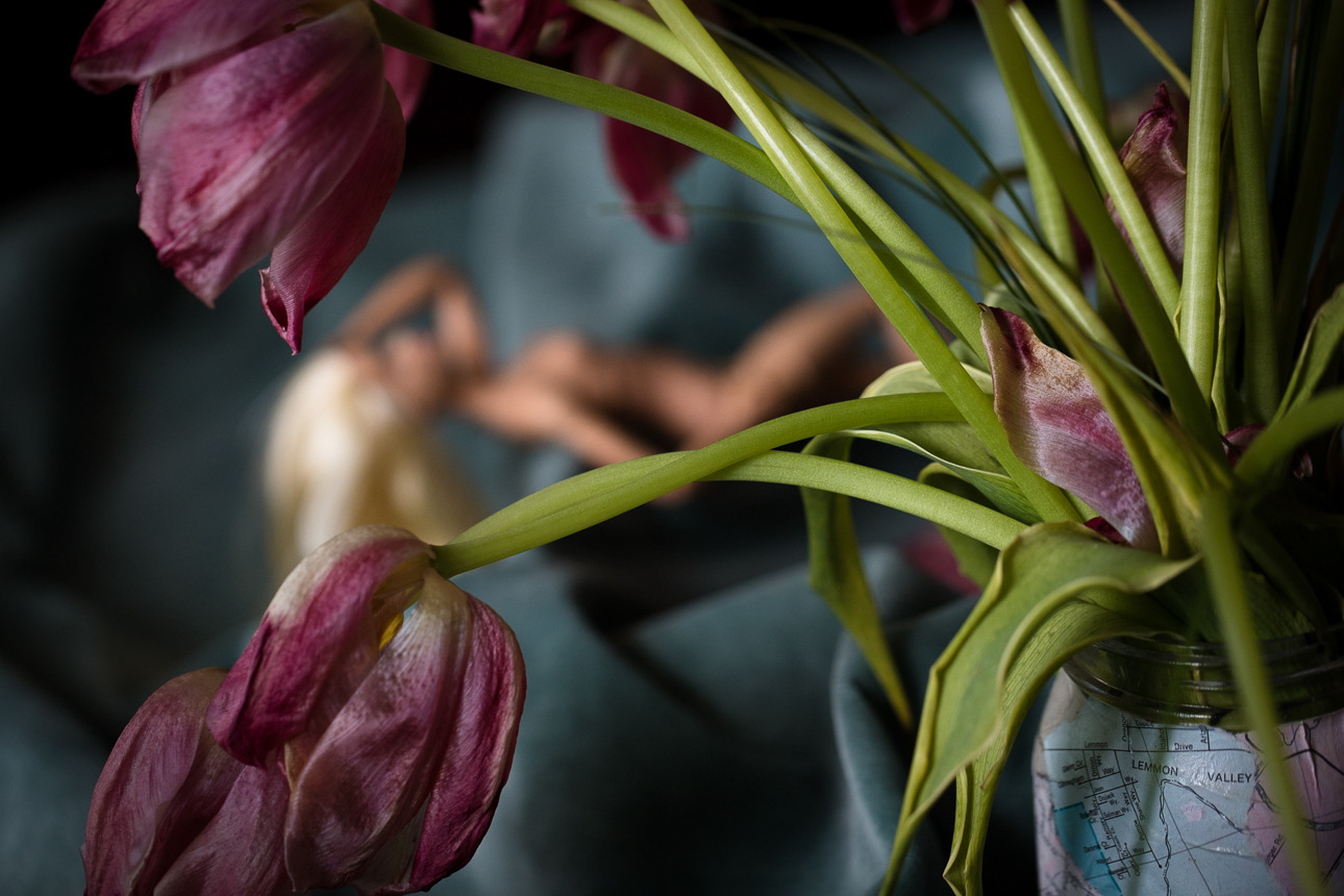 babrie, boudoir, flowers